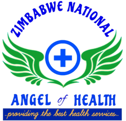 Zimbabwe National Angel of Health logo